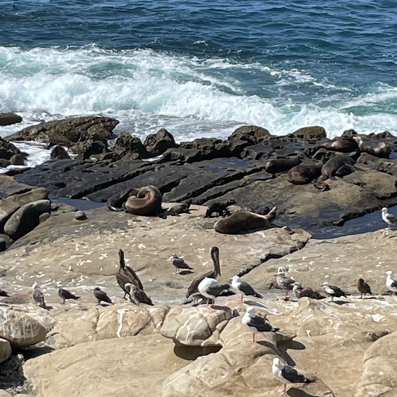 Quick List - Picture 12 of 16